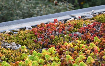 the cost of Creagh green roof installation