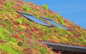 Creagh living roof systems